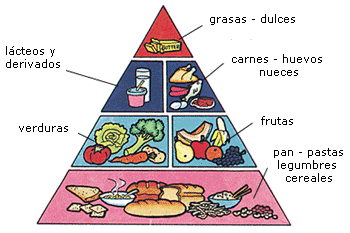 el plan alimenticio diario